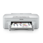 EPSON C11CC34303