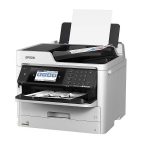 EPSON C11CG04401